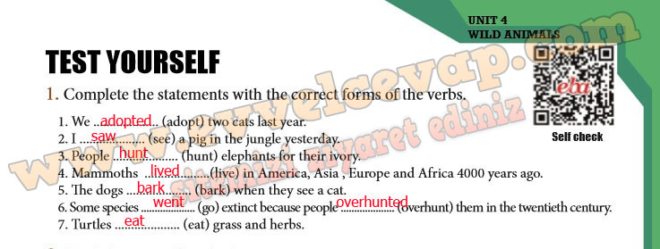 Complete the statements with the correct forms of the verbs.