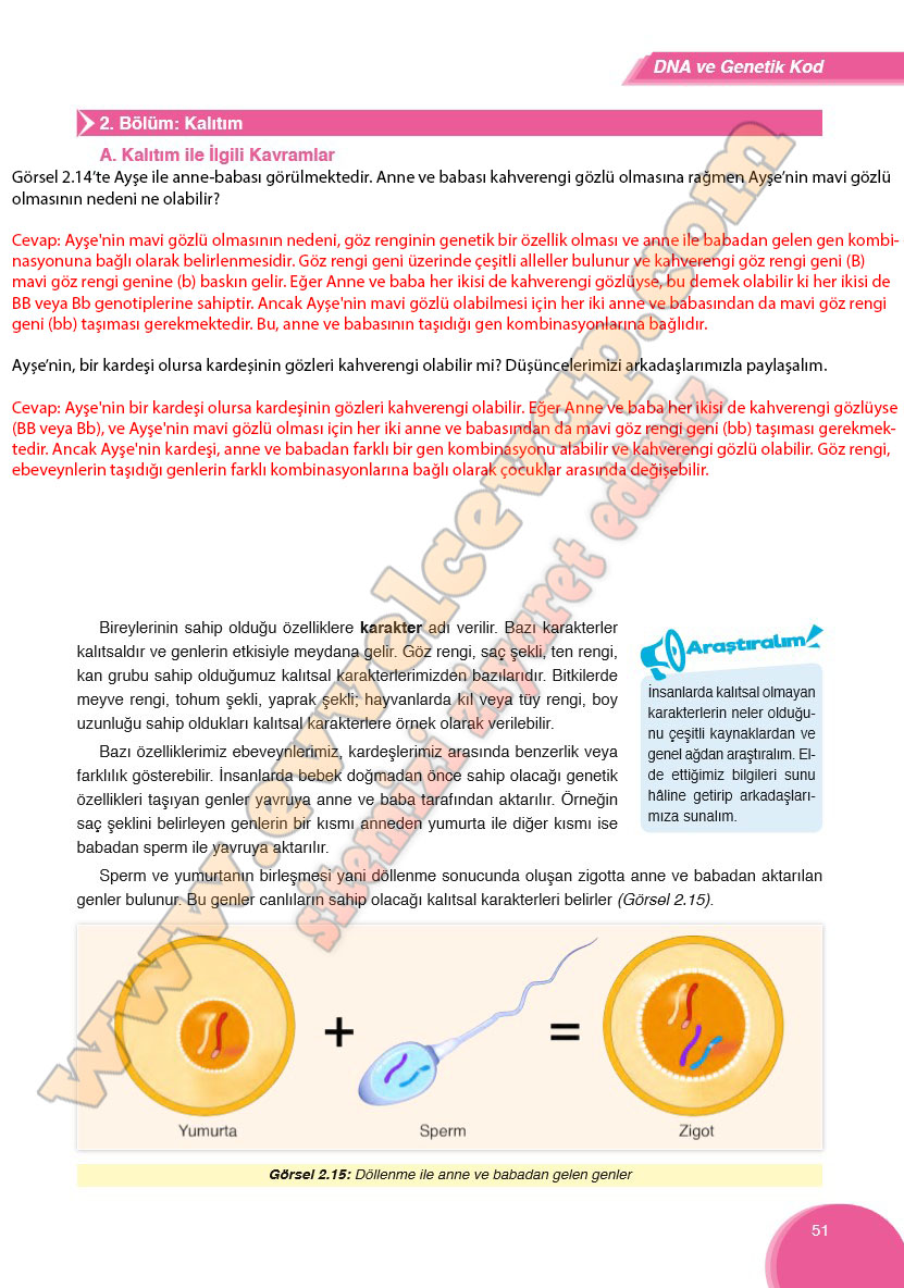 8-sinif-fen-bilimleri-ders-kitabi-cevabi-ata-yayinlari-sayfa-51