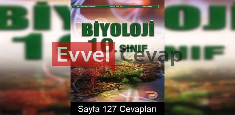10. Sınıf Biyoloji Ders Kitabı Cevapları Dörtel Yayınları Sayfa 127 