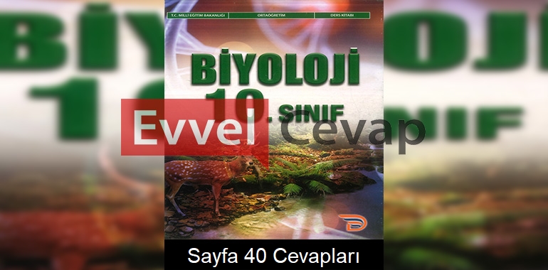 10. Sınıf Biyoloji Ders Kitabı Cevapları Dörtel Yayınları Sayfa 40 