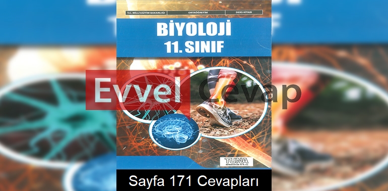 11. Sınıf Biyoloji Ders Kitabı Cevapları Tuna Yayınları Sayfa 171 