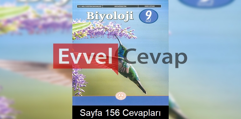 9. Sınıf Biyoloji Ders Kitabı Cevapları Meb Yayınları Sayfa 156