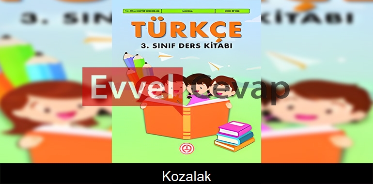 Kozalak Metni Etkinlik Cevapları (3. Sınıf Türkçe) 
