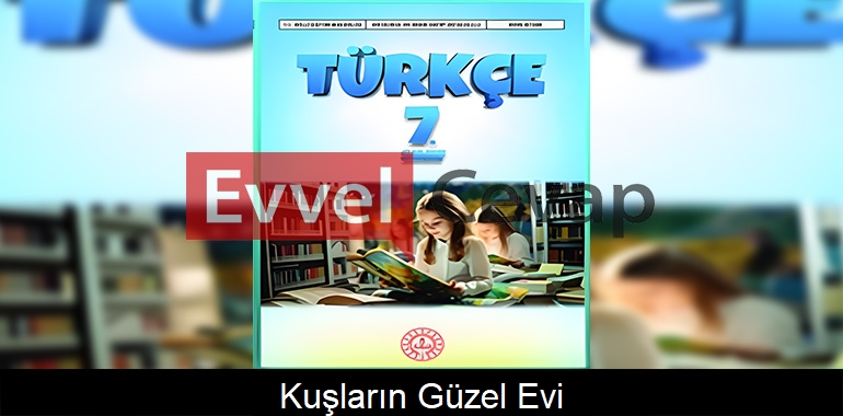 Kuşların Güzel Evi Metni Etkinlik Cevapları (7. Sınıf Türkçe) 
