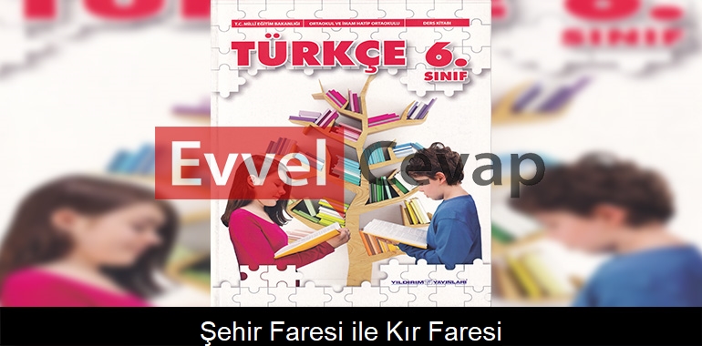 Şehir Faresi ile Kır Faresi Metni Etkinlik Cevapları (6. Sınıf Türkçe)