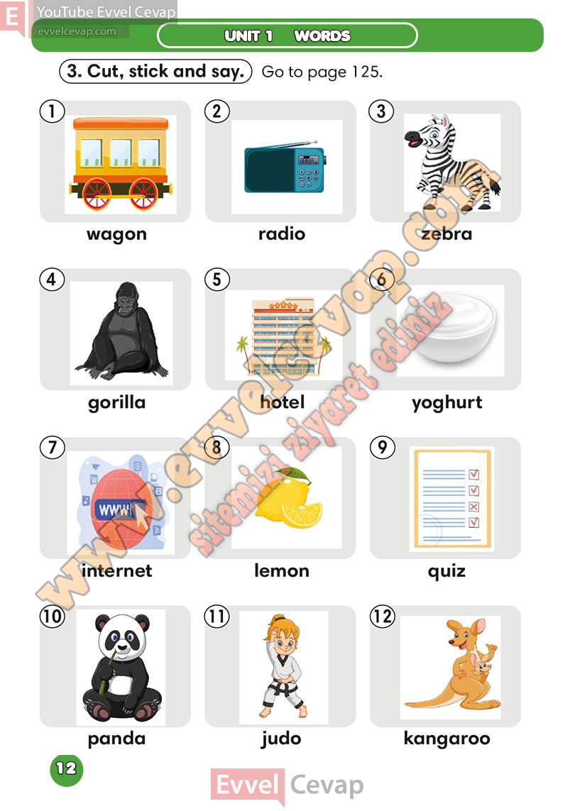 2-sinif-ingilizce-ders-kitabi-cevaplari-meb-sayfa-12