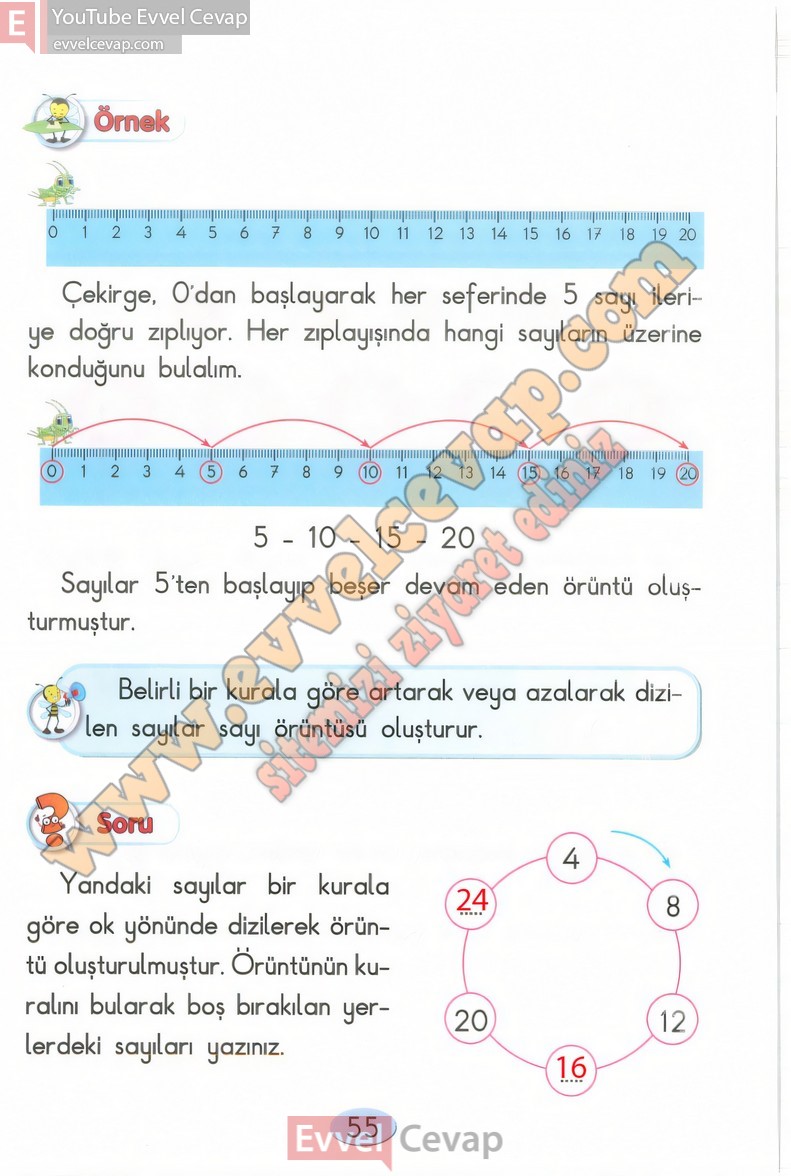 2-sinif-matematik-ders-kitabi-cevaplari-anka-sayfa-55