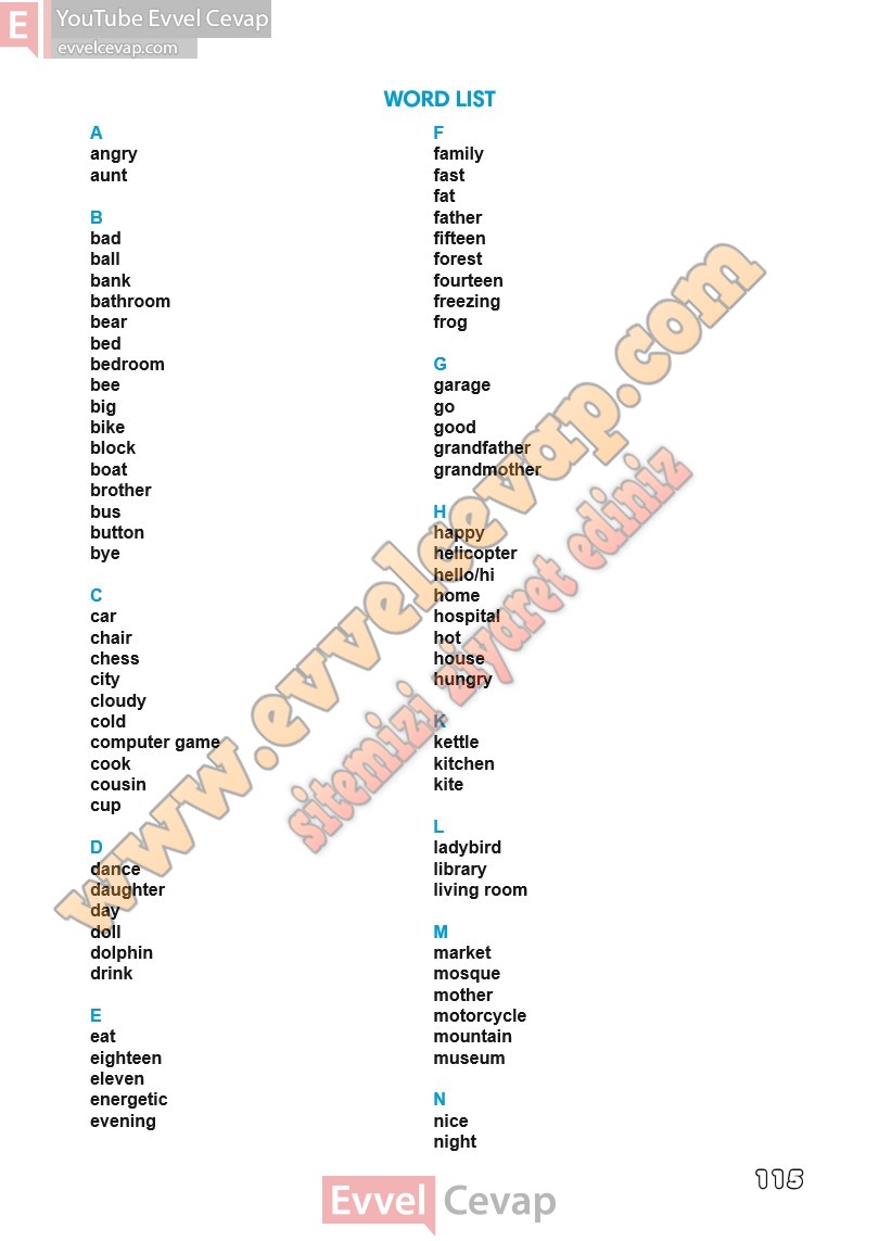 3-sinif-ingilizce-ders-kitabi-cevaplari-meb-sayfa-115