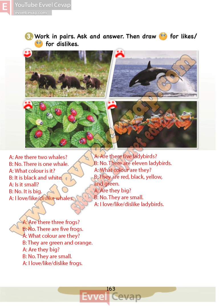 3-sinif-ingilizce-ders-kitabi-cevaplari-sdr-dikey-sayfa-163