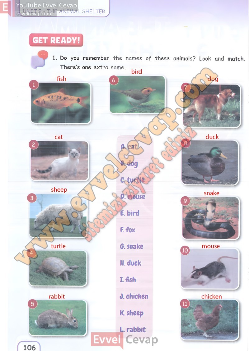 5-sinif-ingilizce-ders-kitabi-cevaplari-pasifik-sayfa-106