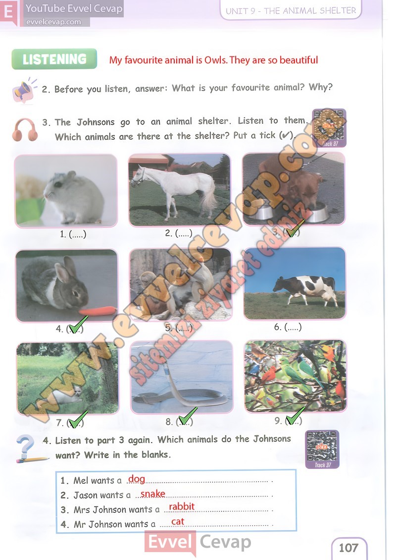 5-sinif-ingilizce-ders-kitabi-cevaplari-pasifik-sayfa-107