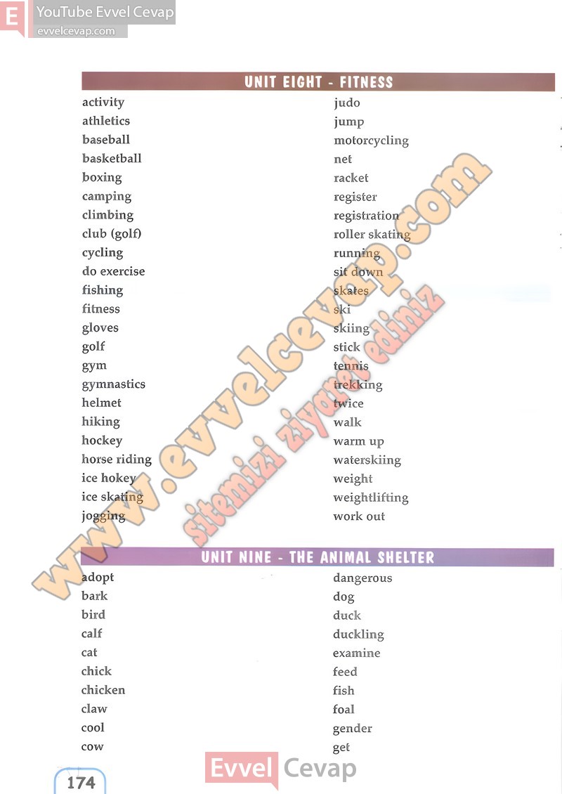 5-sinif-ingilizce-ders-kitabi-cevaplari-pasifik-sayfa-174