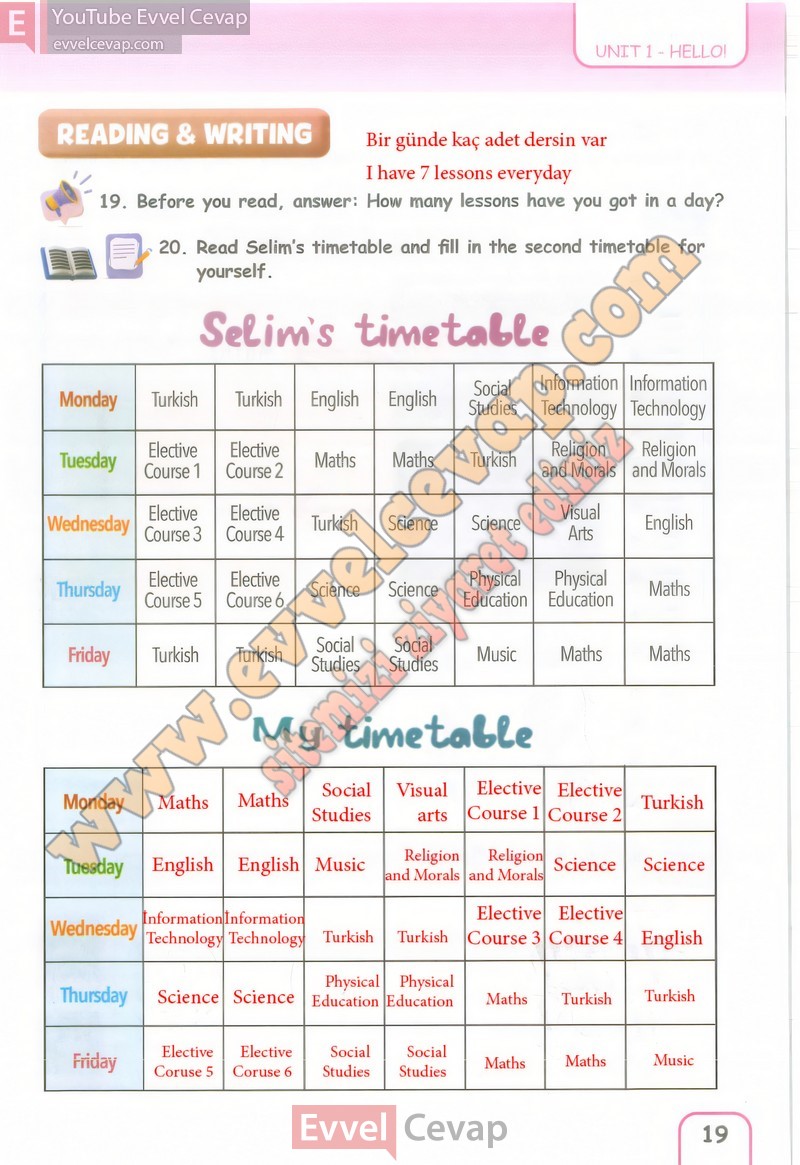 5-sinif-ingilizce-ders-kitabi-cevaplari-pasifik-sayfa-19