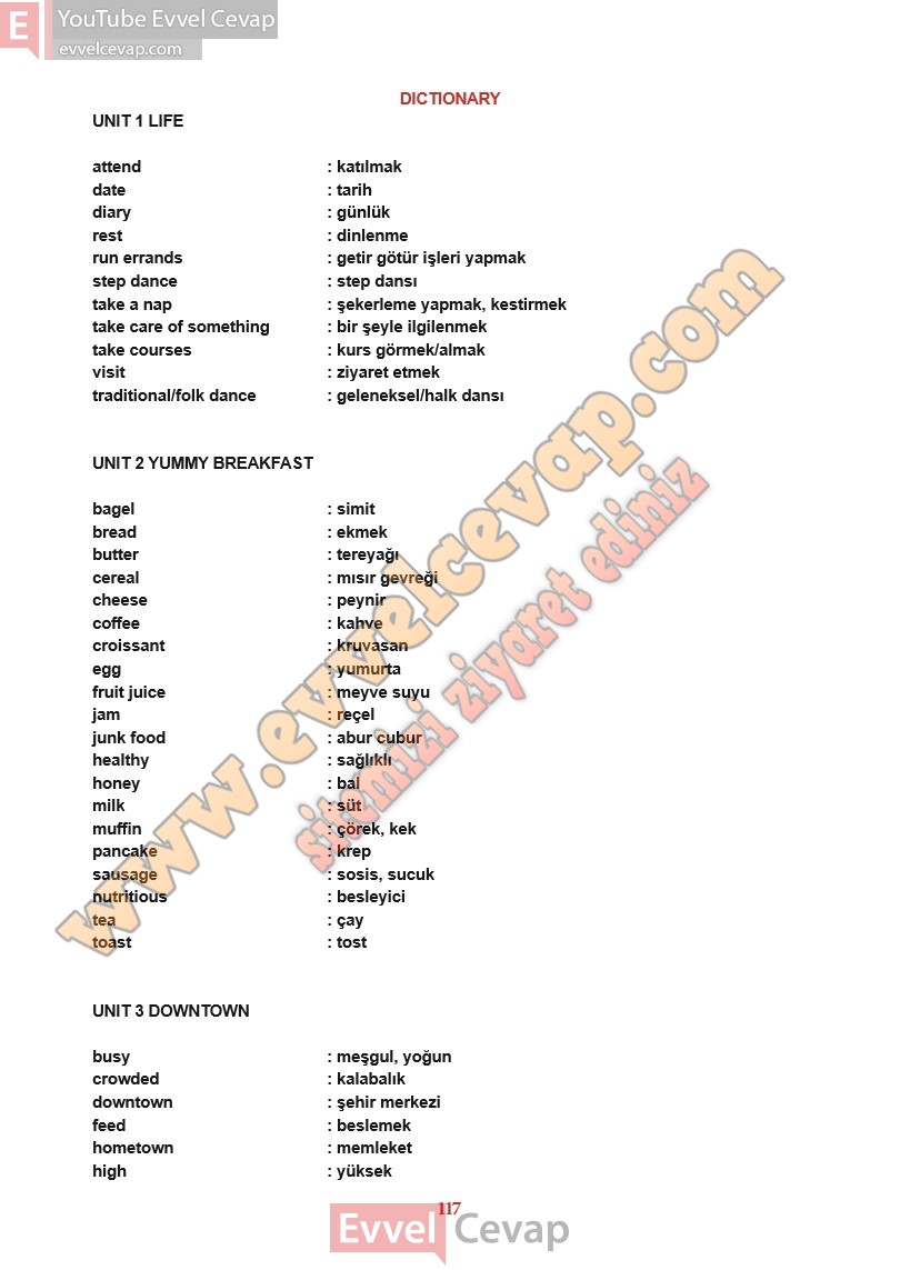 6-sinif-ingilizce-ders-kitabi-cevaplari-meb-sayfa-117
