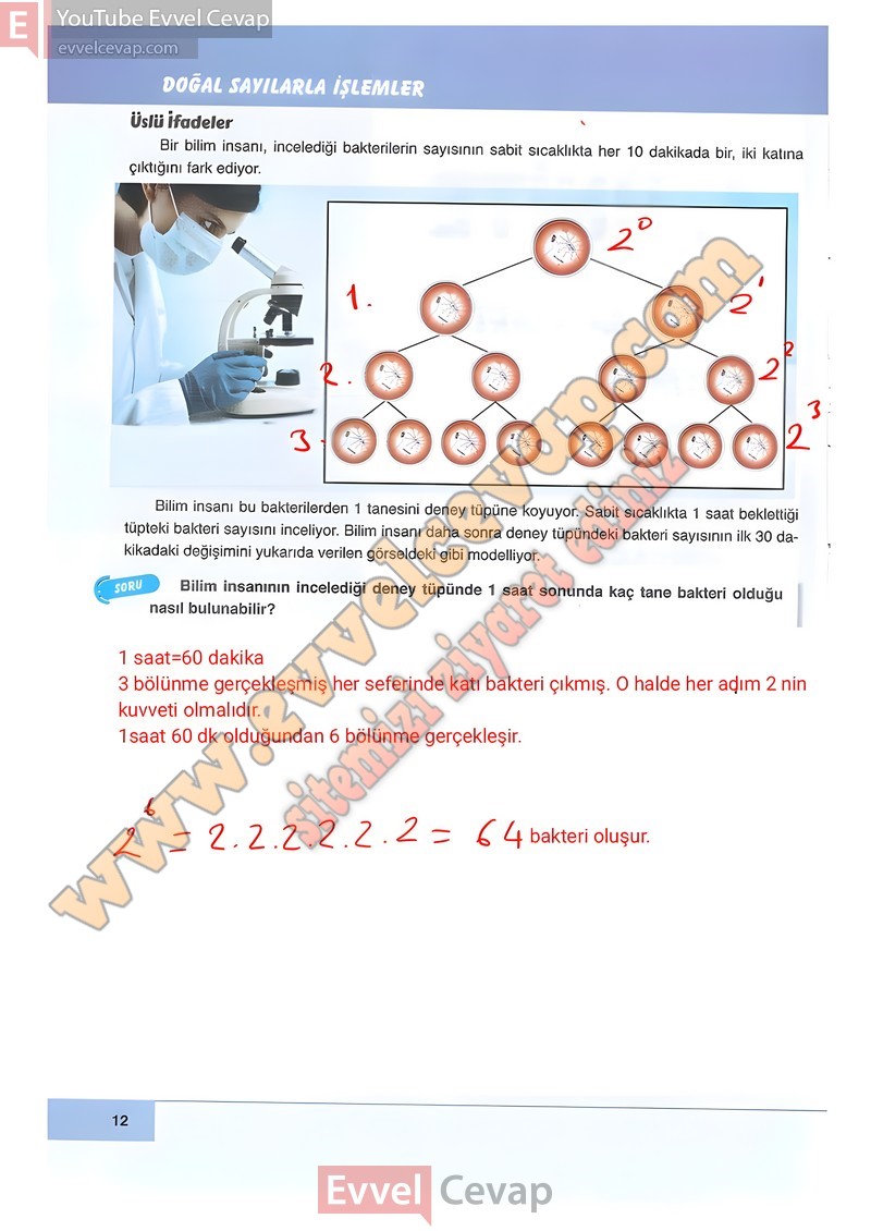 6-sinif-matematik-ders-kitabi-cevabi-doga-sayfa-12