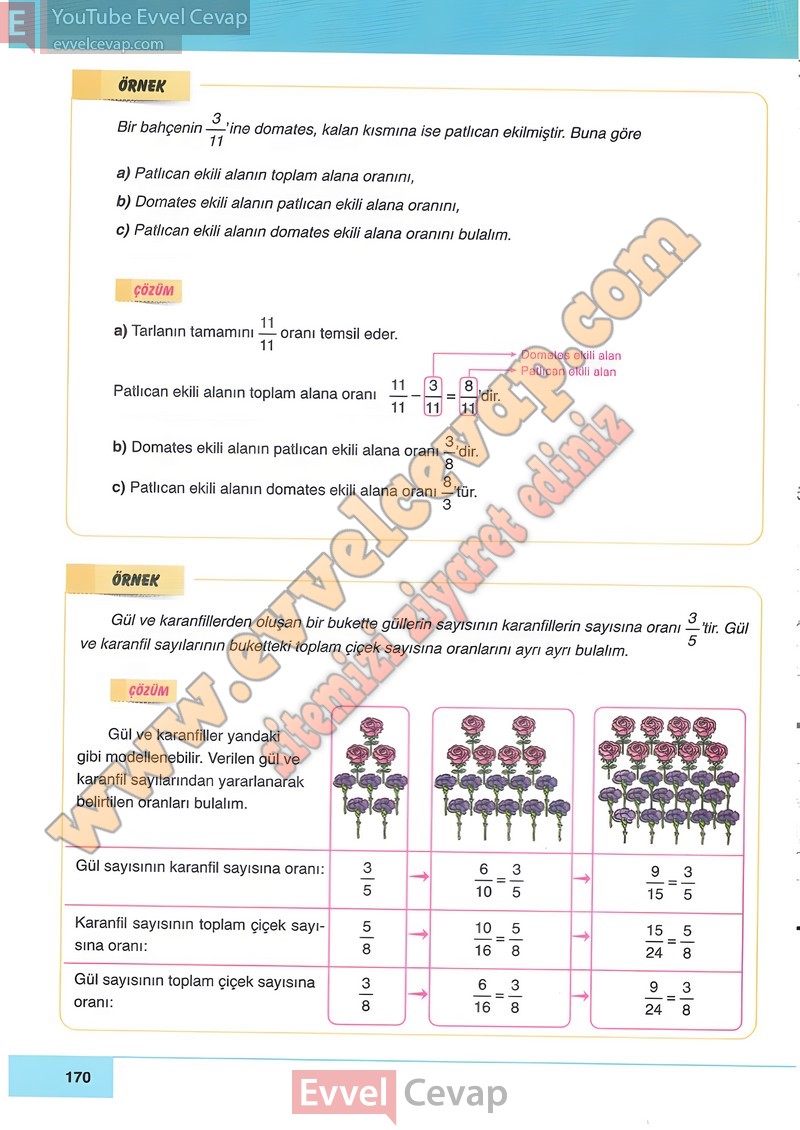 6-sinif-matematik-ders-kitabi-cevabi-doga-sayfa-170