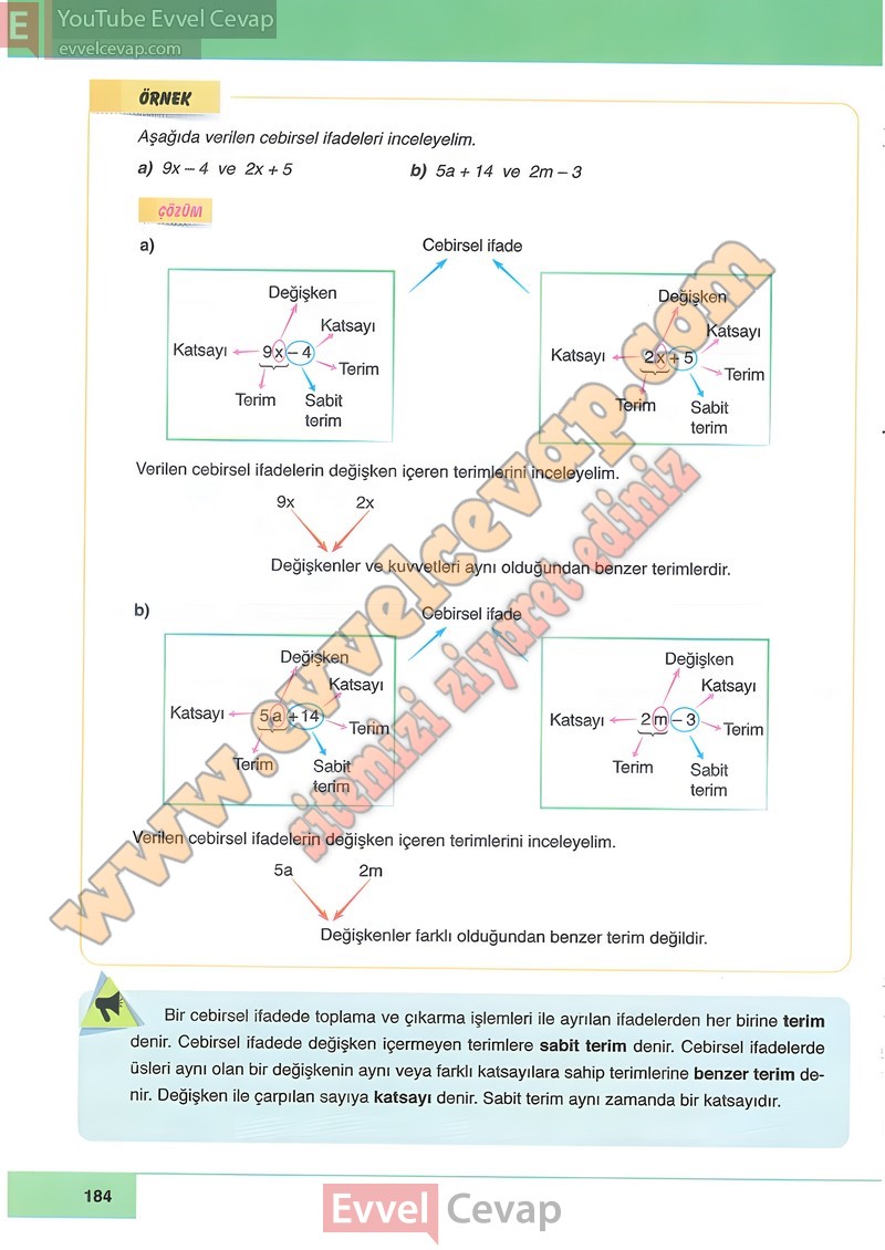 6-sinif-matematik-ders-kitabi-cevabi-doga-sayfa-184