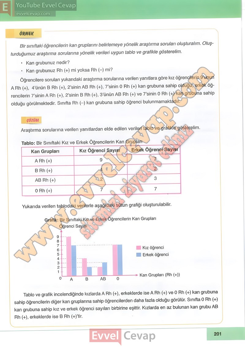 6-sinif-matematik-ders-kitabi-cevabi-doga-sayfa-201