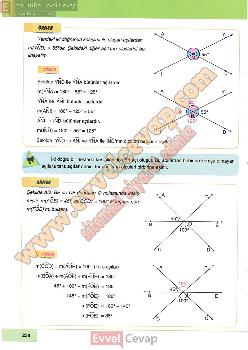 6-sinif-matematik-ders-kitabi-cevabi-doga-sayfa-238