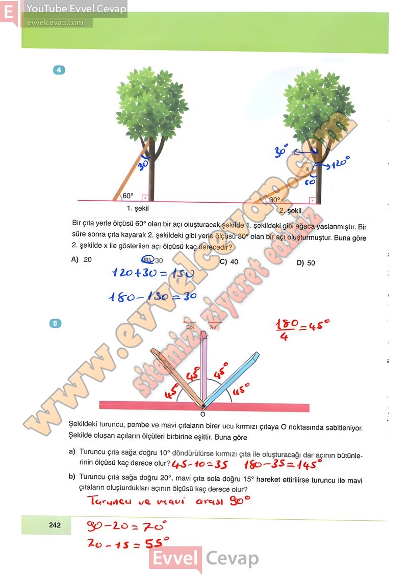 6-sinif-matematik-ders-kitabi-cevabi-doga-sayfa-242