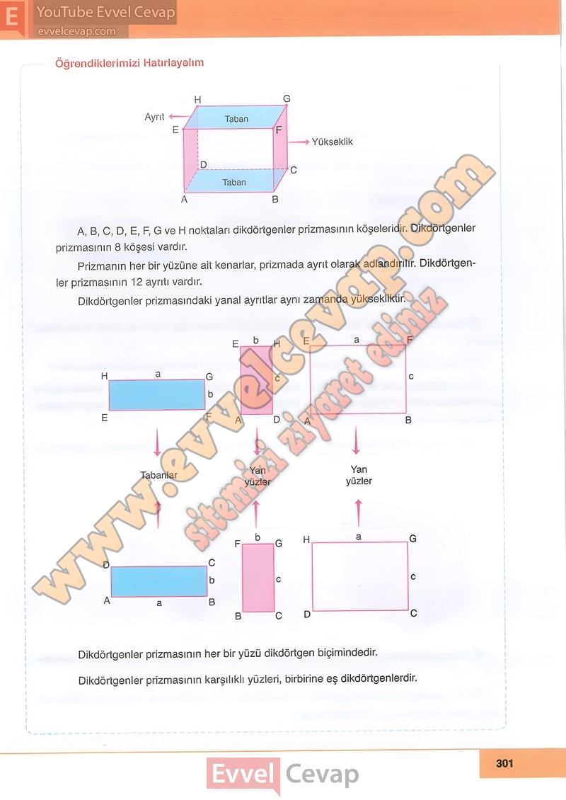 6-sinif-matematik-ders-kitabi-cevabi-doga-sayfa-301