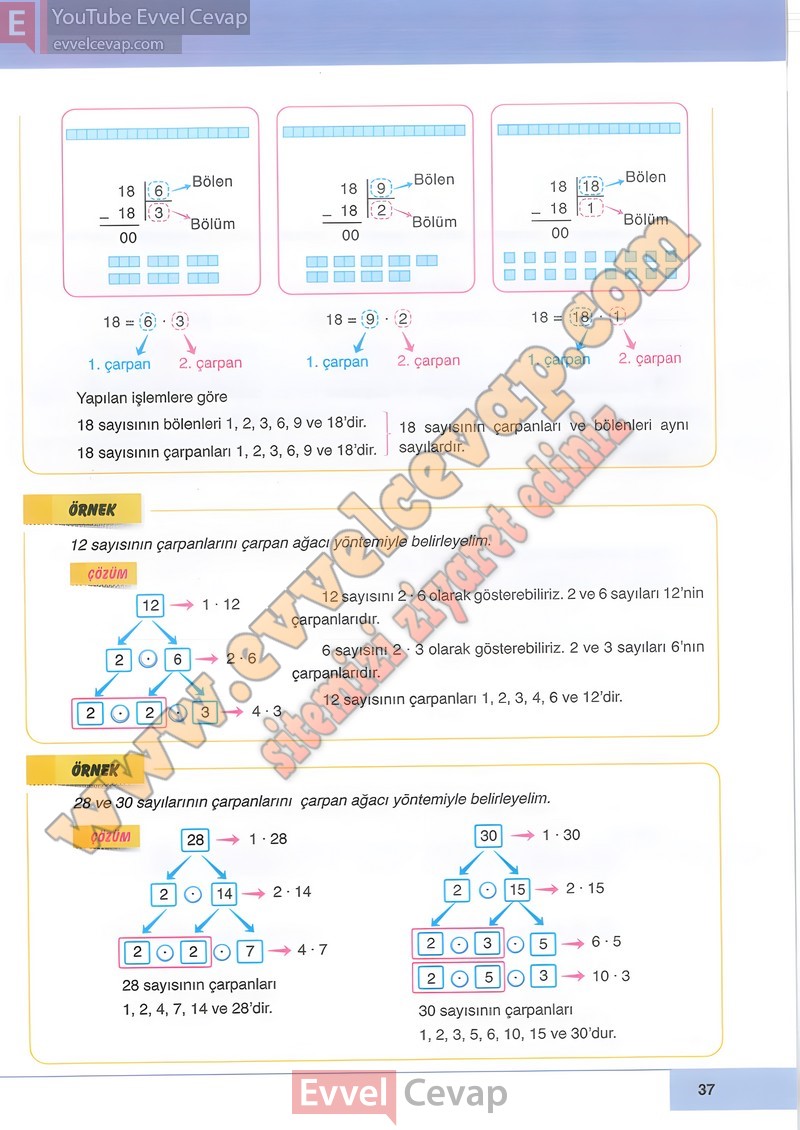 6-sinif-matematik-ders-kitabi-cevabi-doga-sayfa-37
