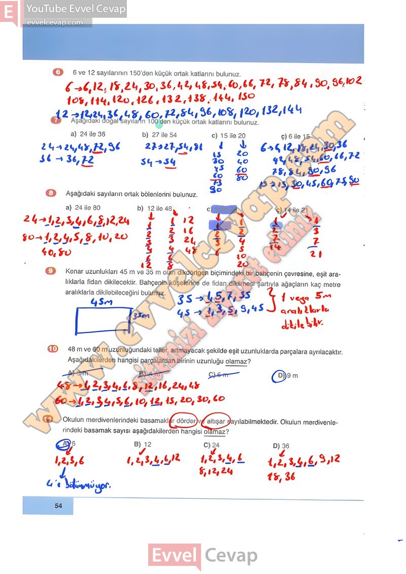 6-sinif-matematik-ders-kitabi-cevabi-doga-sayfa-54-2