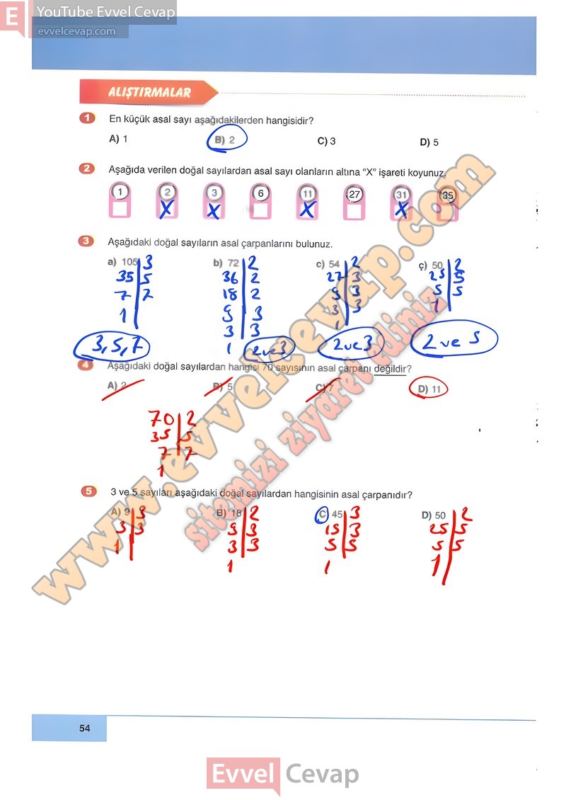 6-sinif-matematik-ders-kitabi-cevabi-doga-sayfa-54
