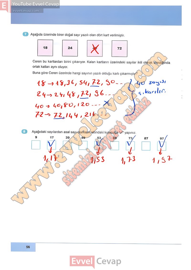 6-sinif-matematik-ders-kitabi-cevabi-doga-sayfa-56-2