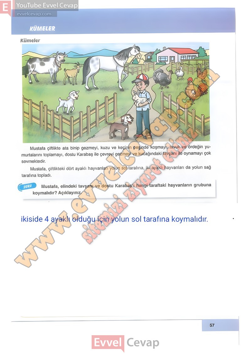 6-sinif-matematik-ders-kitabi-cevabi-doga-sayfa-57