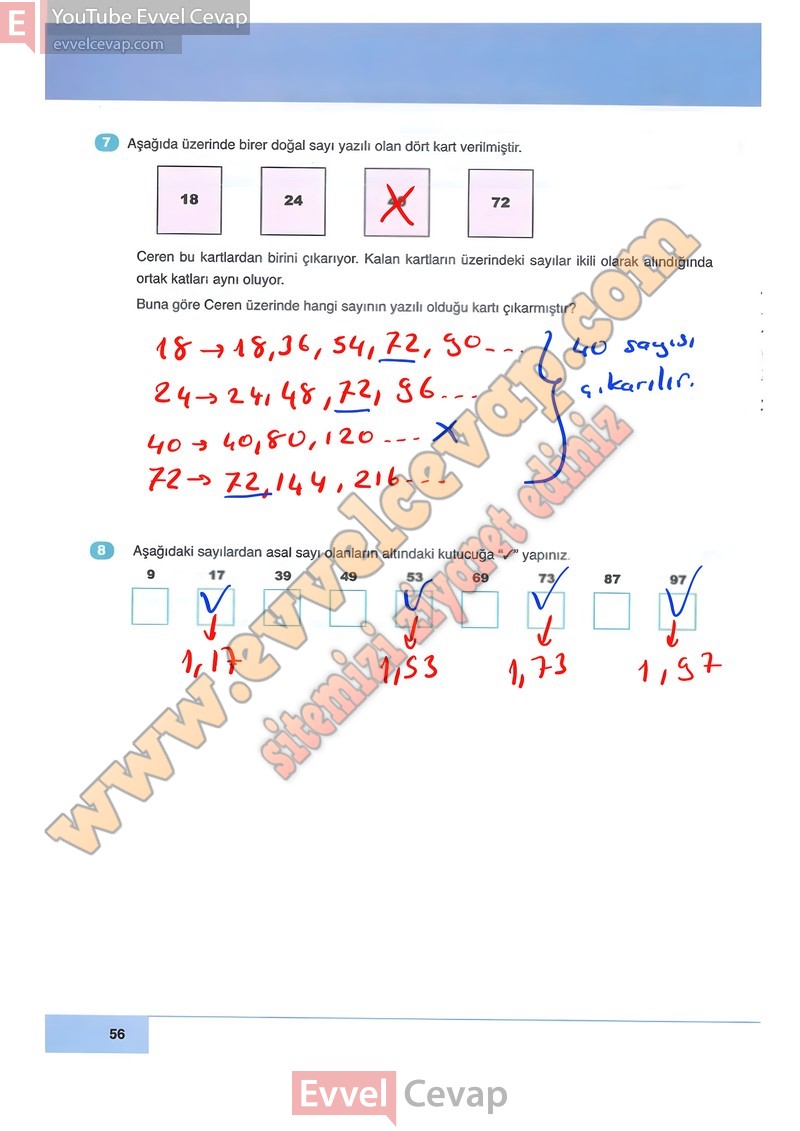 6-sinif-matematik-ders-kitabi-cevaplari-doga-sayfa-56-2