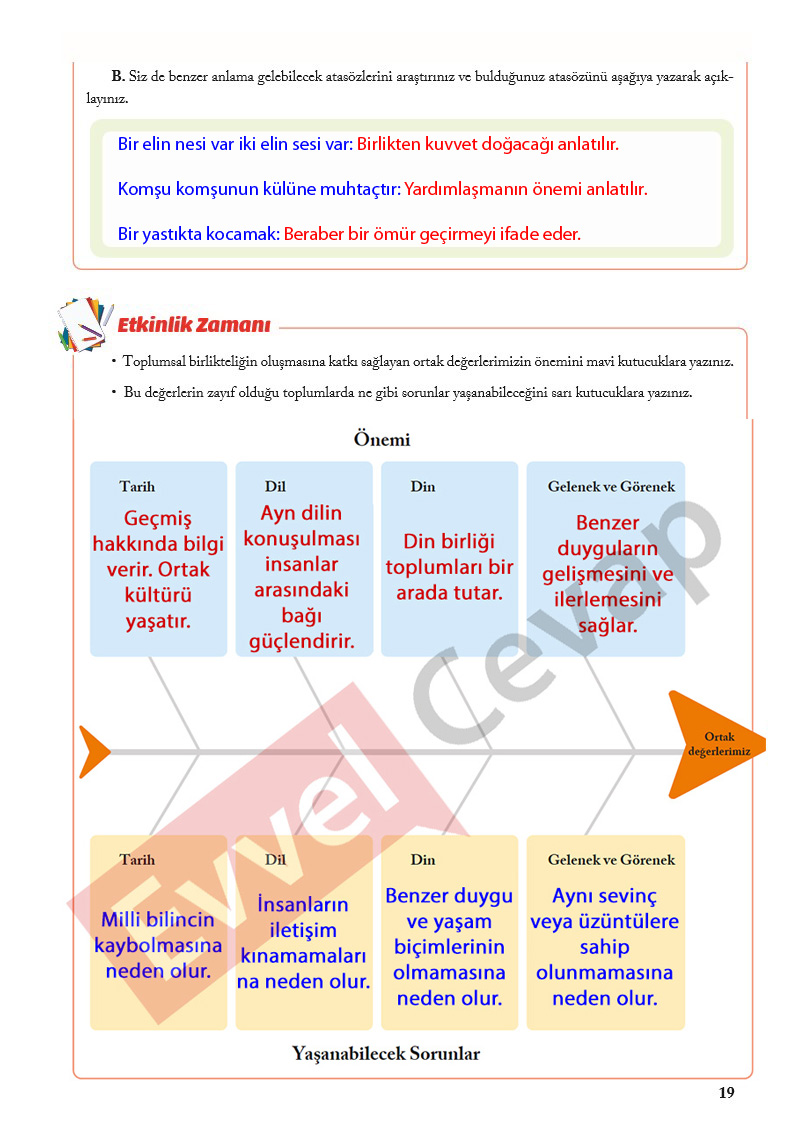 6-sinif-sosyal-bilgiler-ders-kitabi-cevaplari-evos-sayfa-19