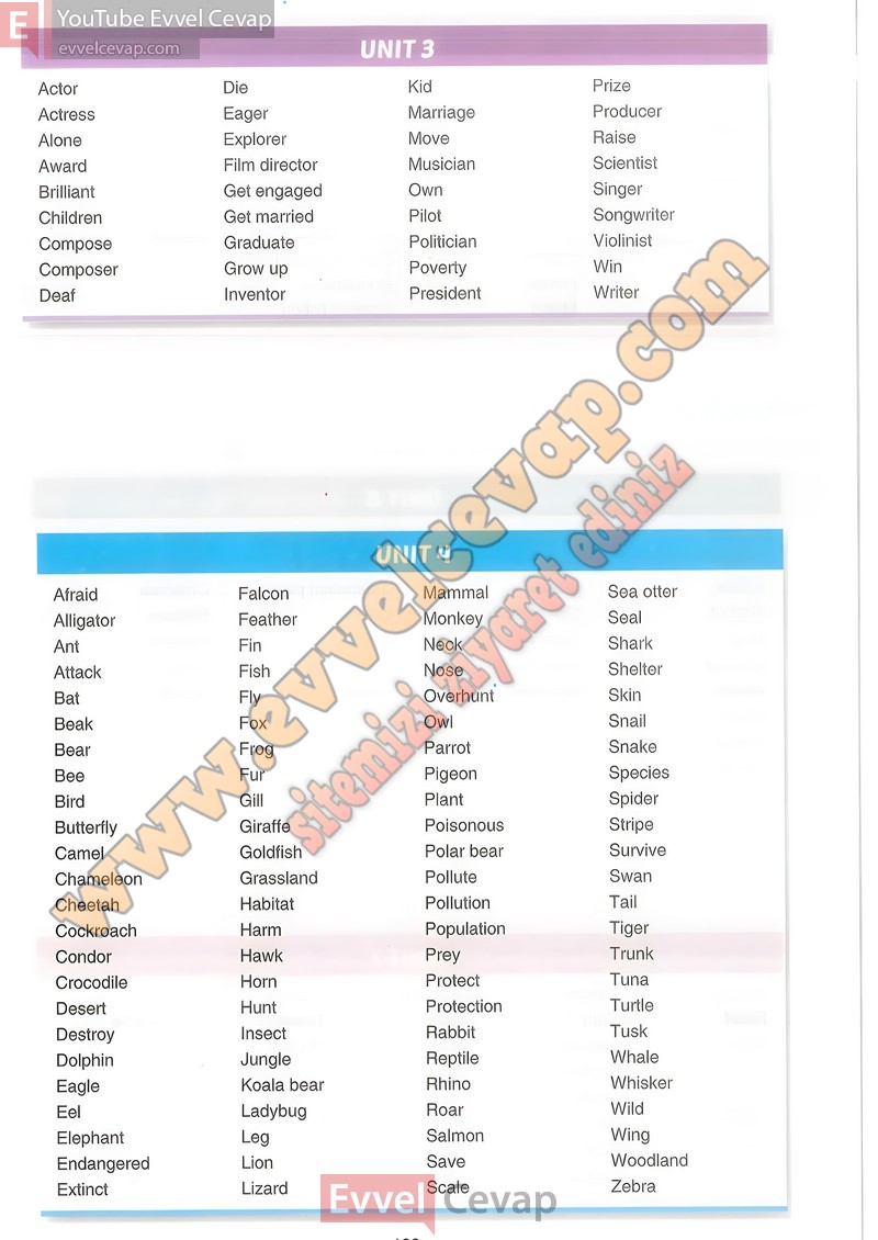 7-sinif-ingilizce-ders-kitabi-cevaplari-yildirim-sayfa-133