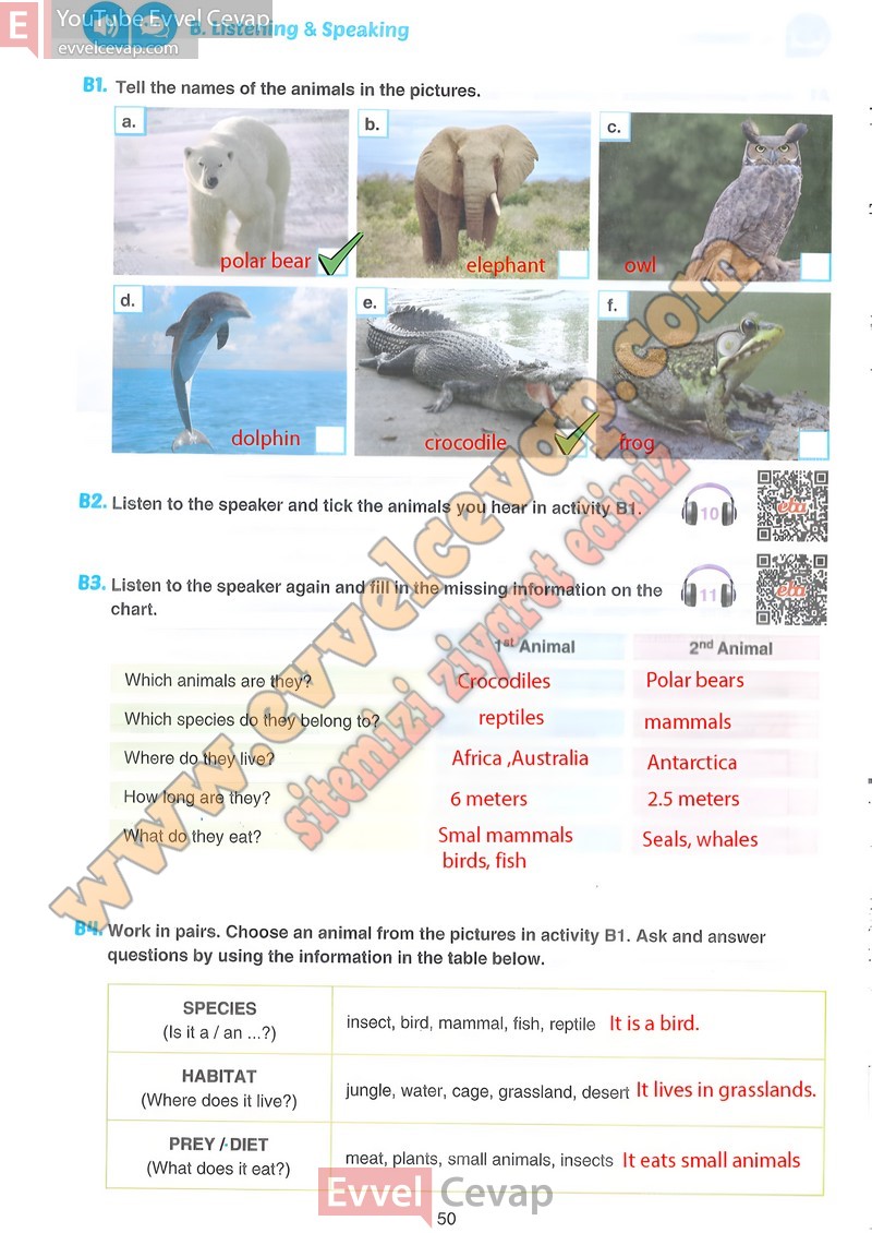 7-sinif-ingilizce-ders-kitabi-cevaplari-yildirim-sayfa-50
