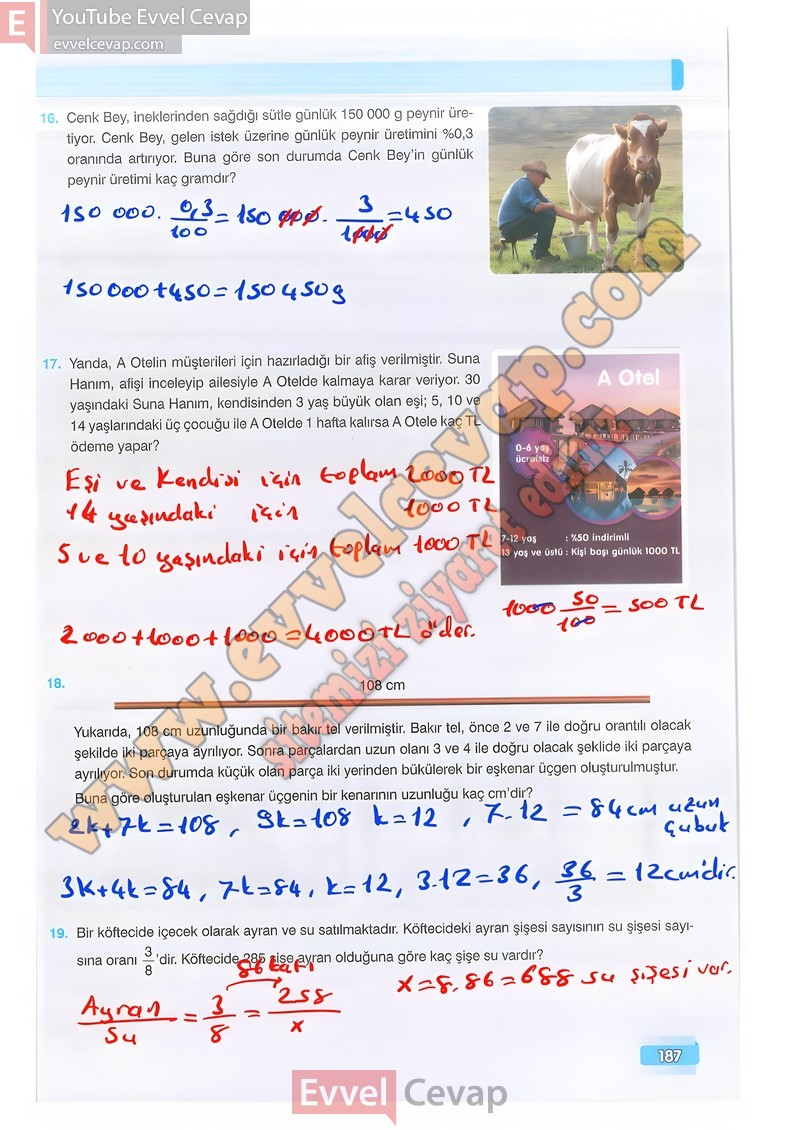 7-sinif-matematik-ders-kitabi-cevabi-edat-sayfa-187