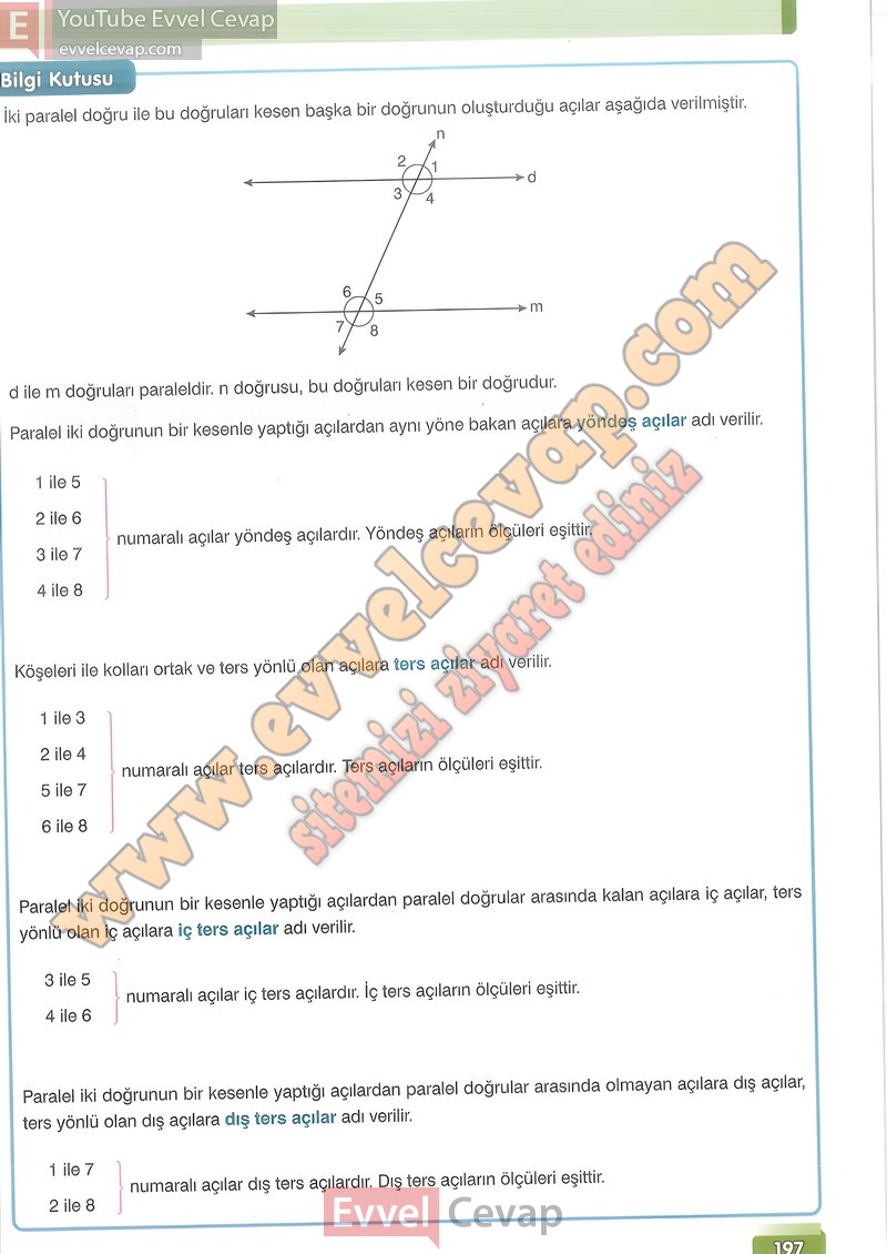 7-sinif-matematik-ders-kitabi-cevabi-edat-sayfa-197