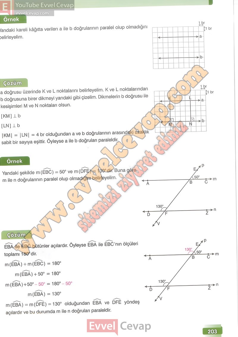 7-sinif-matematik-ders-kitabi-cevabi-edat-sayfa-203