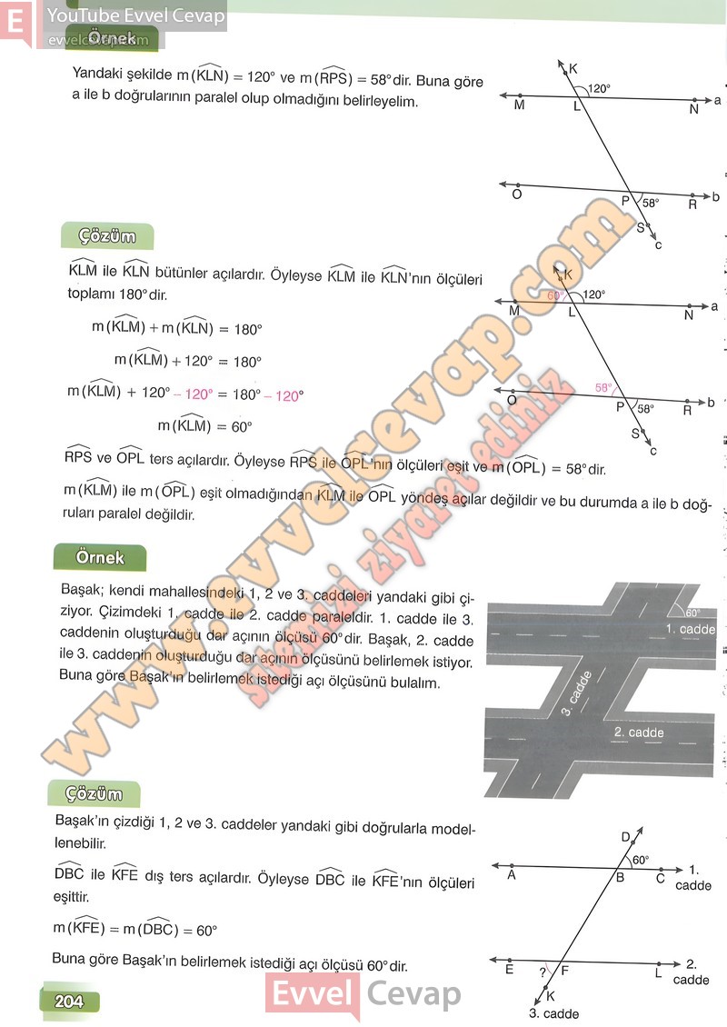 7-sinif-matematik-ders-kitabi-cevabi-edat-sayfa-204