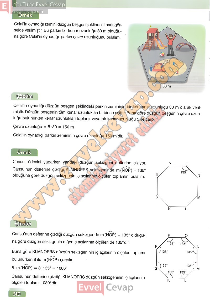 7-sinif-matematik-ders-kitabi-cevabi-edat-sayfa-210