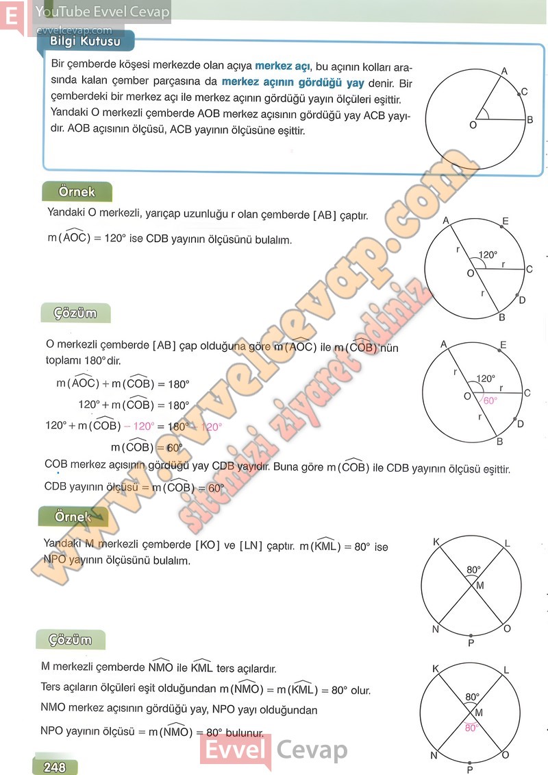 7-sinif-matematik-ders-kitabi-cevabi-edat-sayfa-248