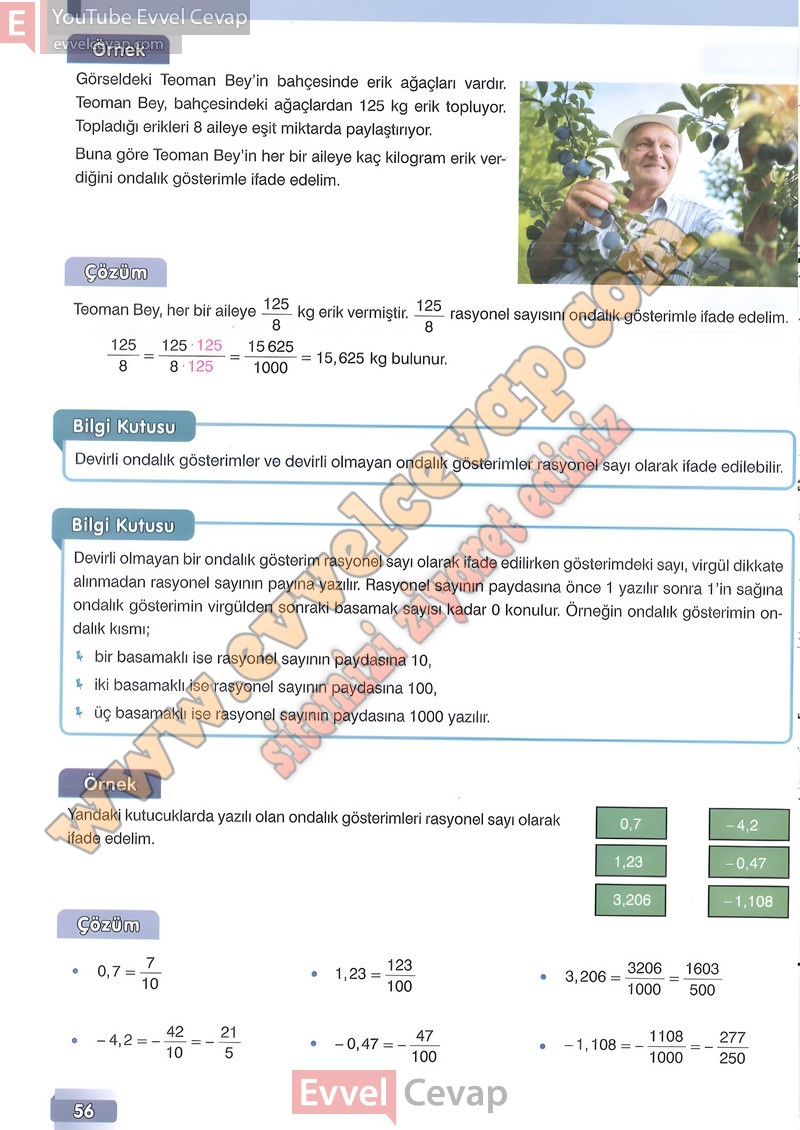 7-sinif-matematik-ders-kitabi-cevabi-edat-sayfa-56