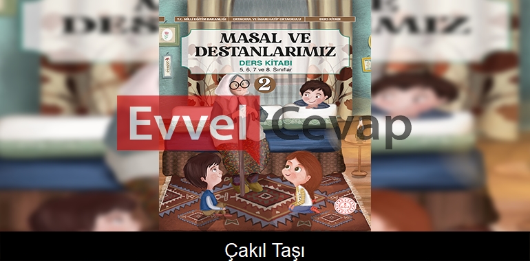 Çakıl Taşı Metni Etkinlik Cevapları (5-6-7-8. Sınıf) 