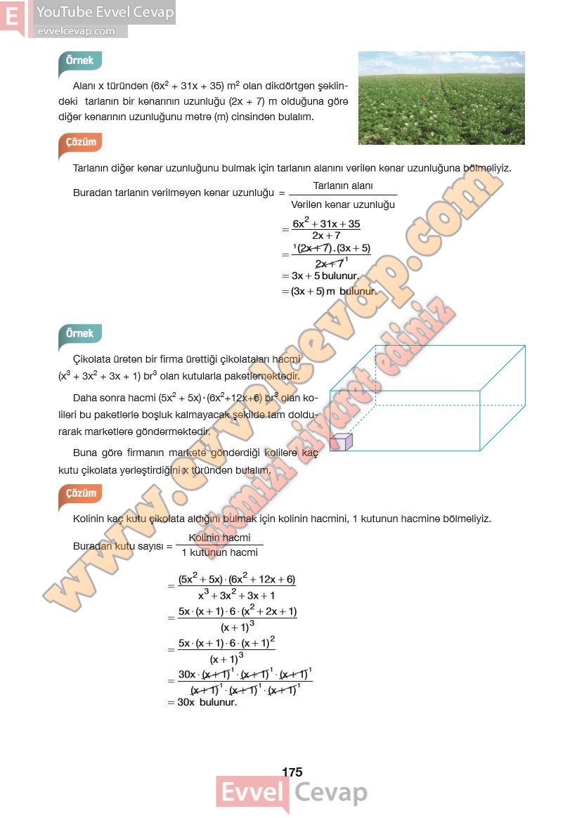 10-sinif-matematik-ders-kitabi-hecce-sayfa-175