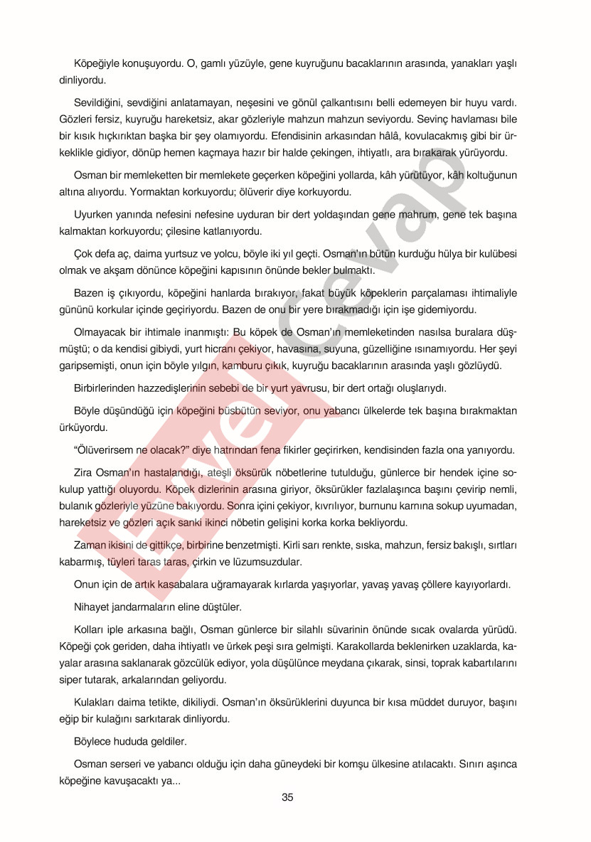 11-sinif-edebiyat-ders-kitabi-cevaplari-gizem-yayinlari-sayfa-35