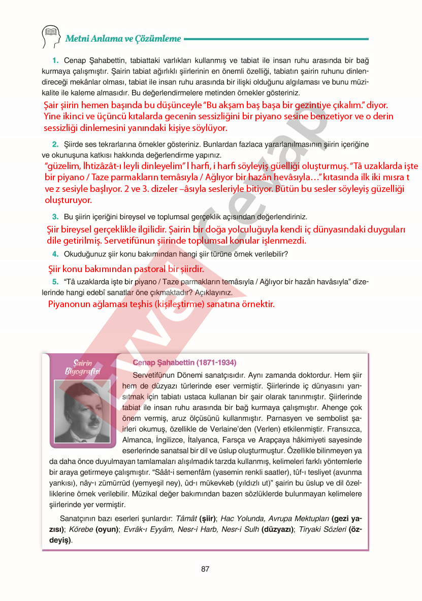 11-sinif-edebiyat-ders-kitabi-cevaplari-gizem-yayinlari-sayfa-87