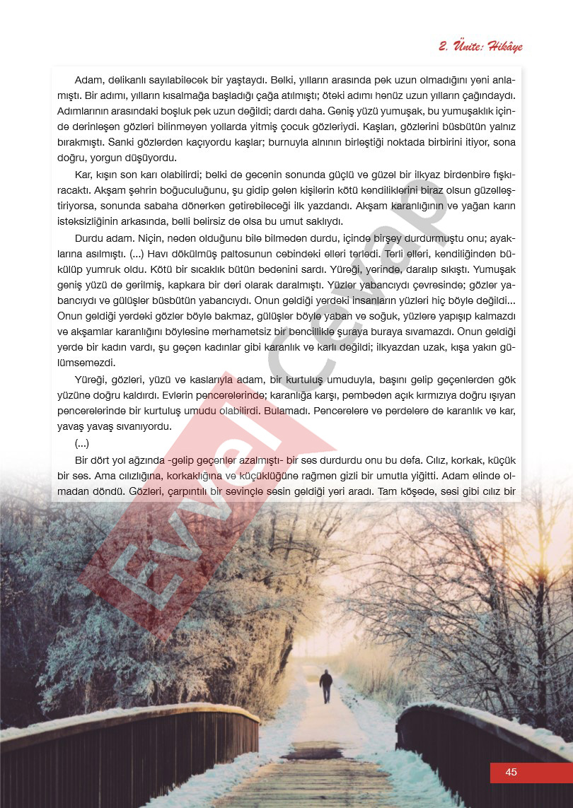 12-sinif-edebiyat-ders-kitabi-cevaplari-melis-yayinlari-sayfa-45