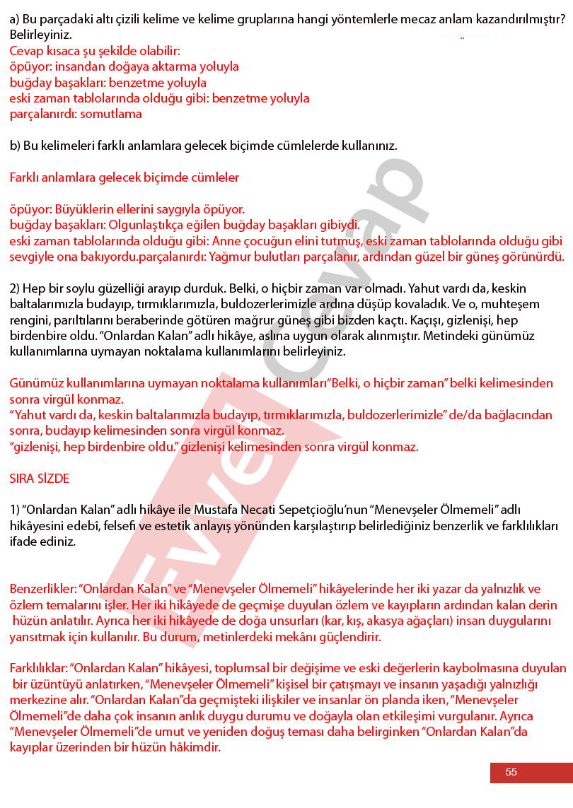 12-sinif-edebiyat-ders-kitabi-cevaplari-melis-yayinlari-sayfa-55