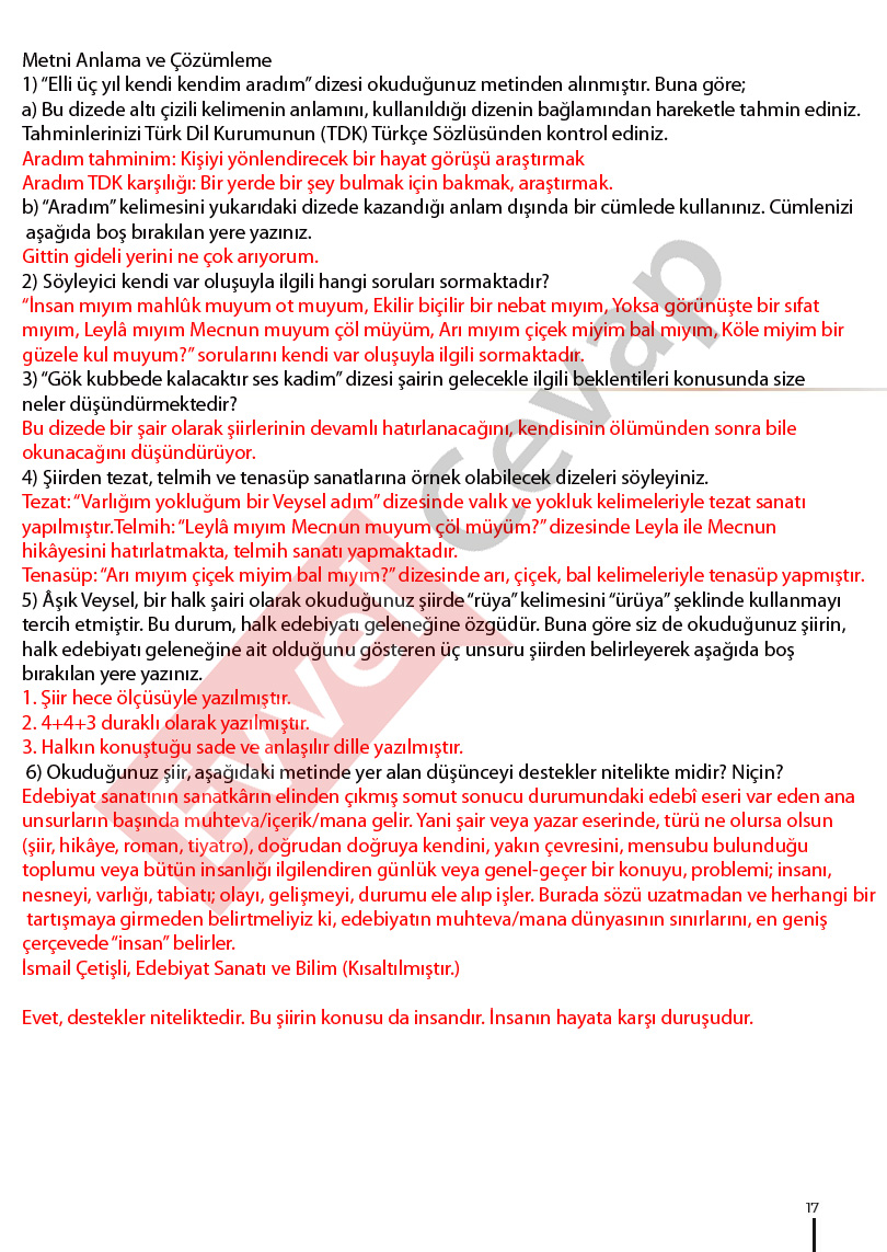 12-sinif-turk-dili-ve-edebiyati-ders-kitabi-cevaplari-sayfa-17