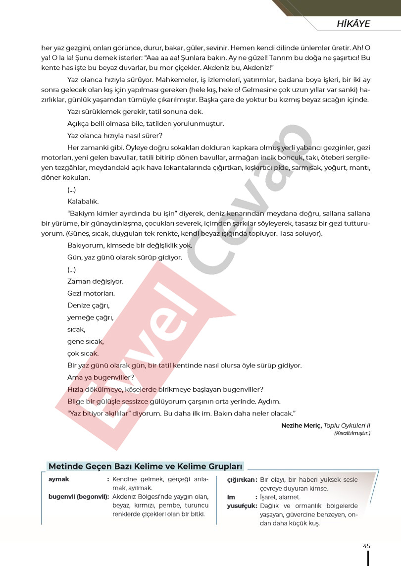 12-sinif-turk-dili-ve-edebiyati-ders-kitabi-cevaplari-sayfa-45