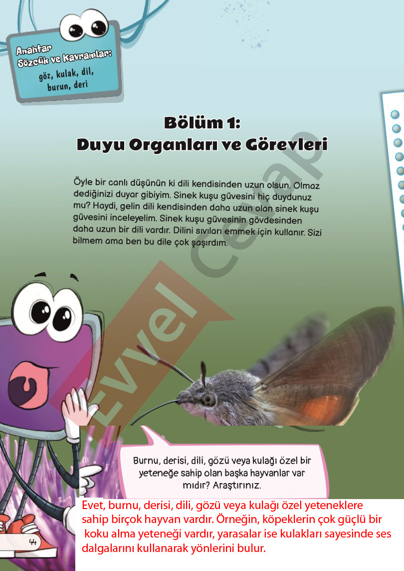 3-sinif-fen-bilimleri-ders-kitabi-cevaplari-sayfa-44